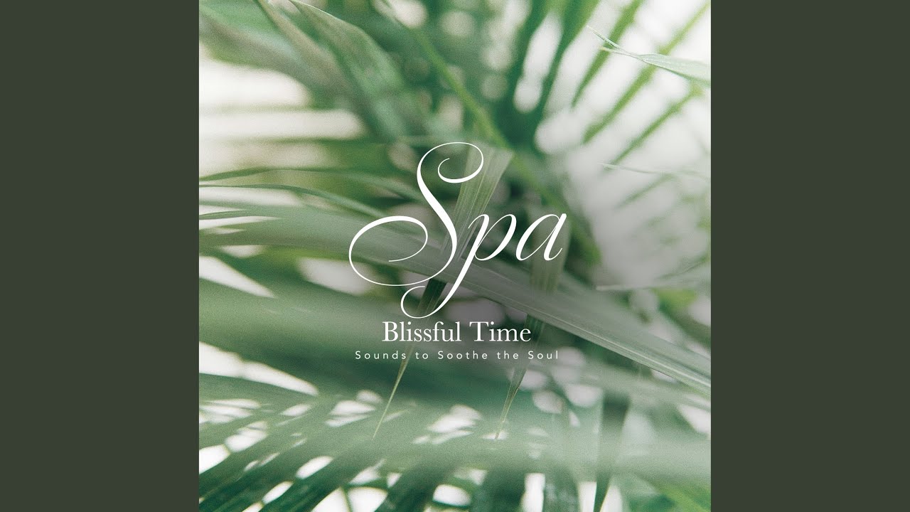 Steam of Serenity (Spa)
