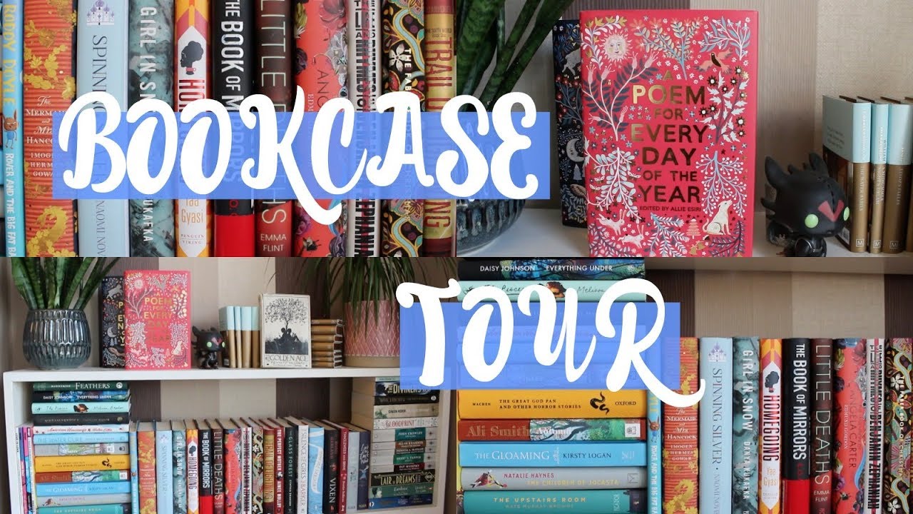 Bookcase Tour 📚