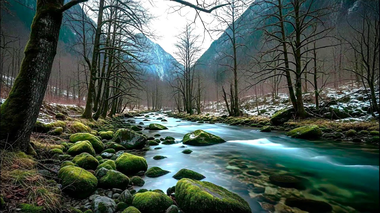 Flowing River Sound for Deep Sleep | Calm Nature Noise for Wellness and Sleep Aid