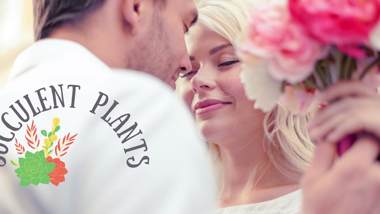 Lovely Classic Gift Make Moment Romantic
