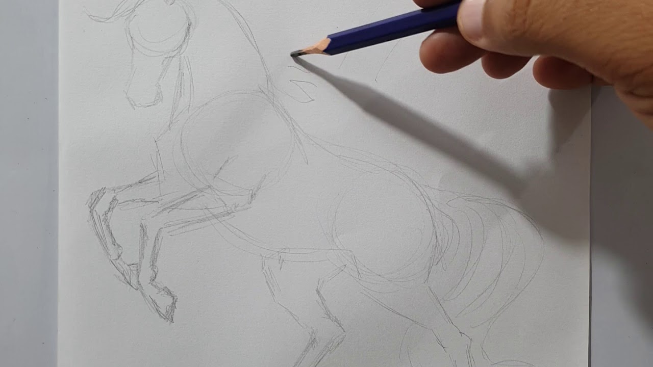 Como desenhar cavalo. curso de desenho.
