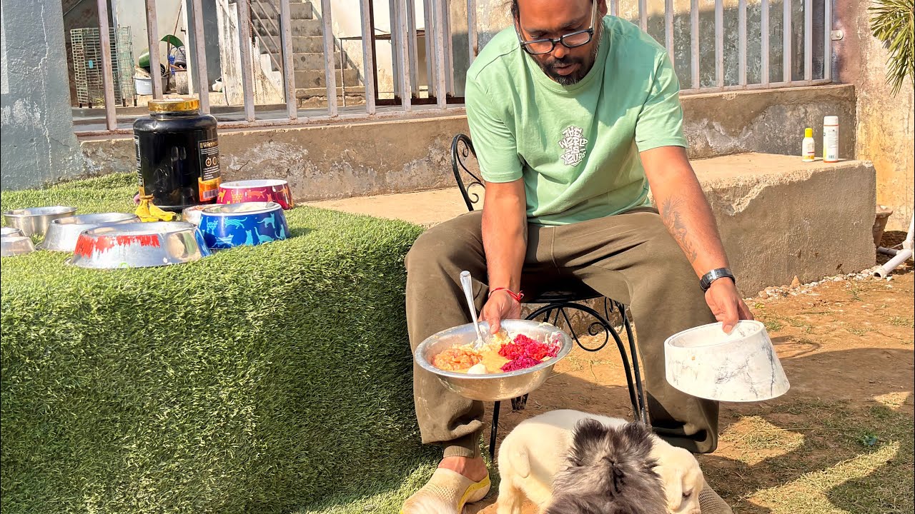 Best Homemade dog food recipe || kya puppy ko ghar ka khana khila sakte hai?