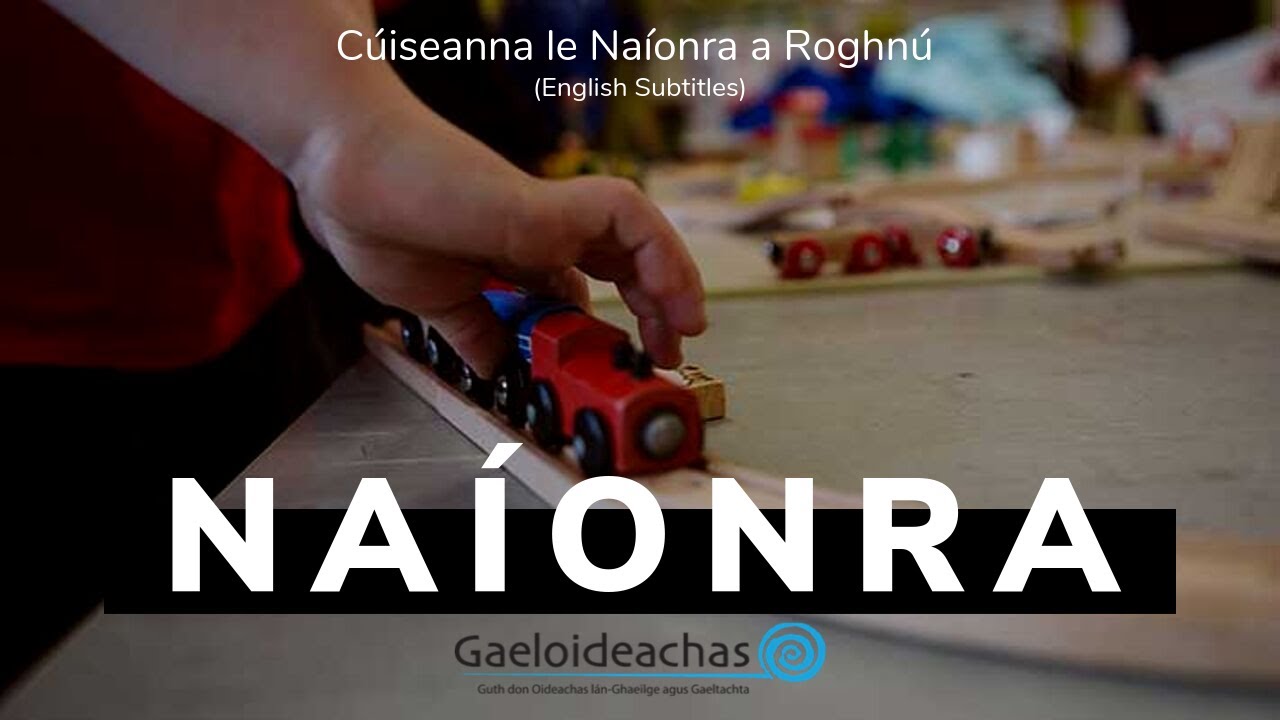 C&uacute;iseanna le Na&iacute;onra a Roghn&uacute; / Reasons for Choosing a Na&iacute;onra