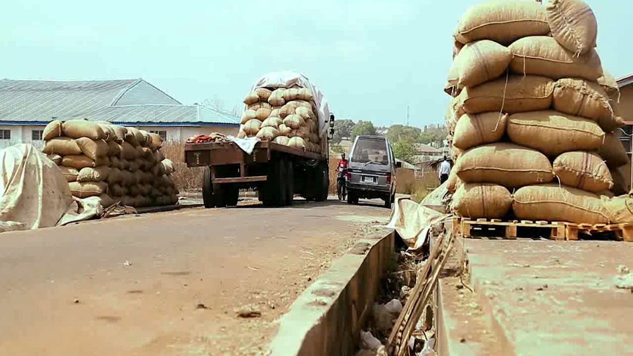 Cashew: Nigeria's Untapped Gold Mine