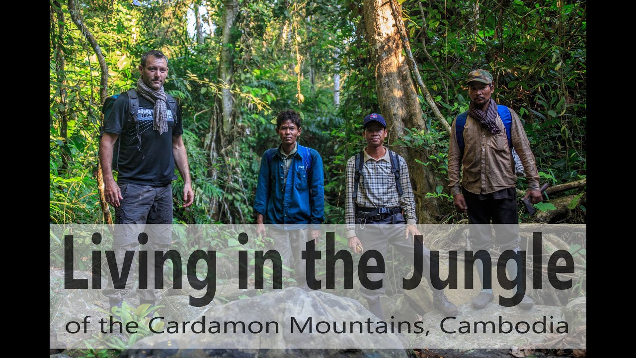 Life in the Jungle of Cambodia