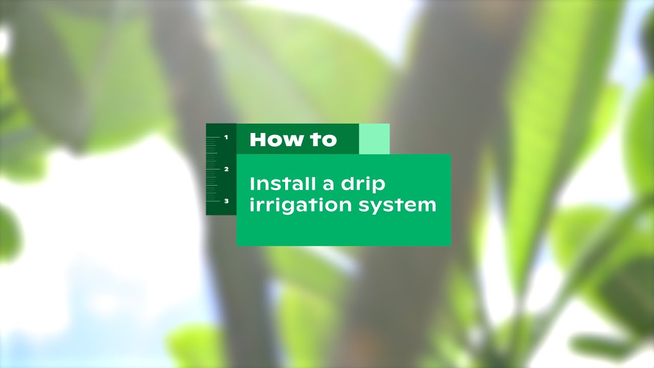 Install a Drip System