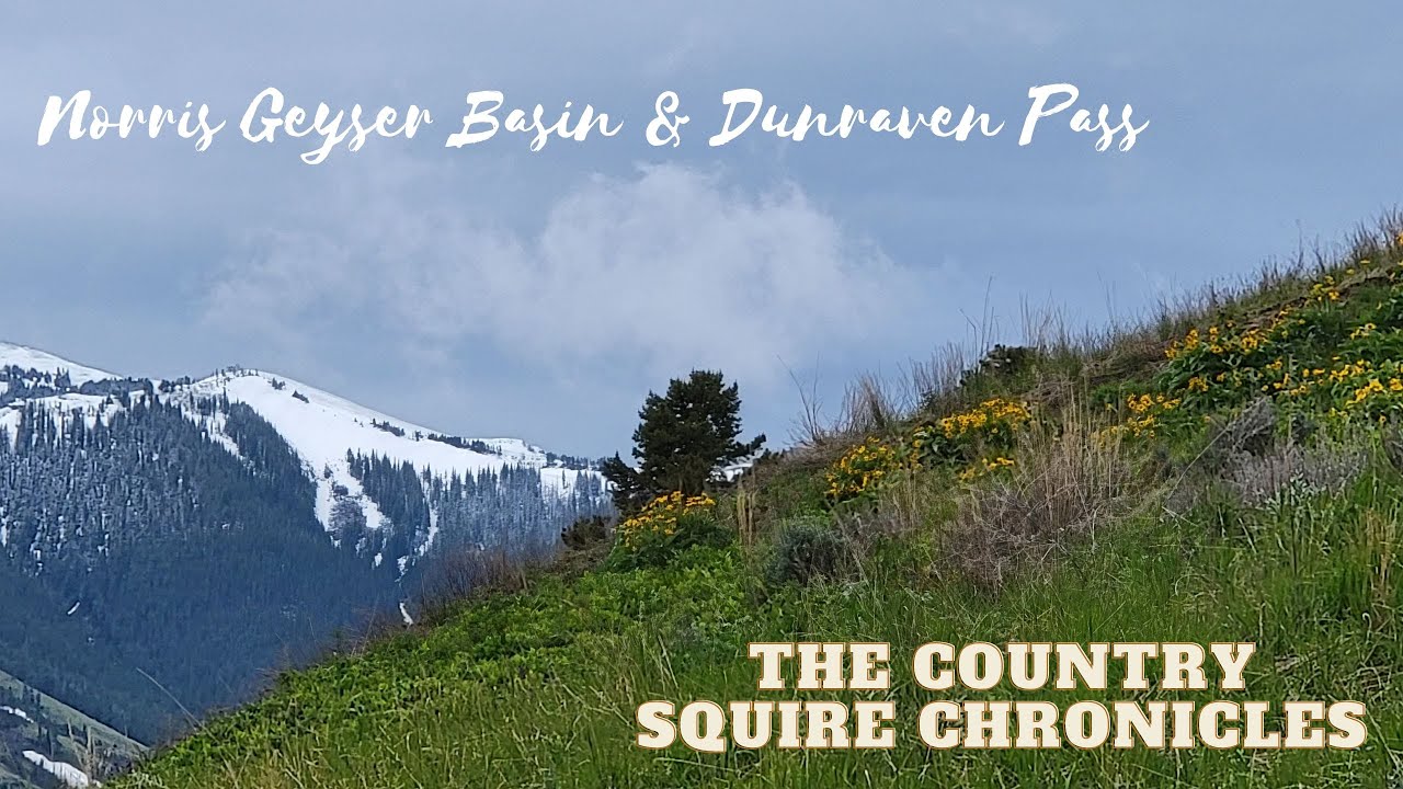 Norris Geyser Basin | Snow on Dunraven Pass | Heading Back Home