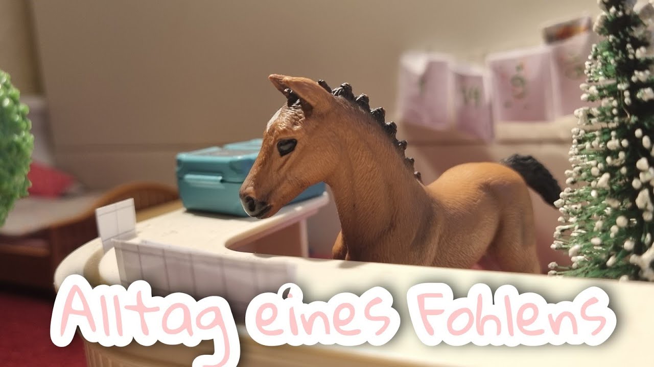 Alltag eines Fohlens | Schleich Video🤗🐎