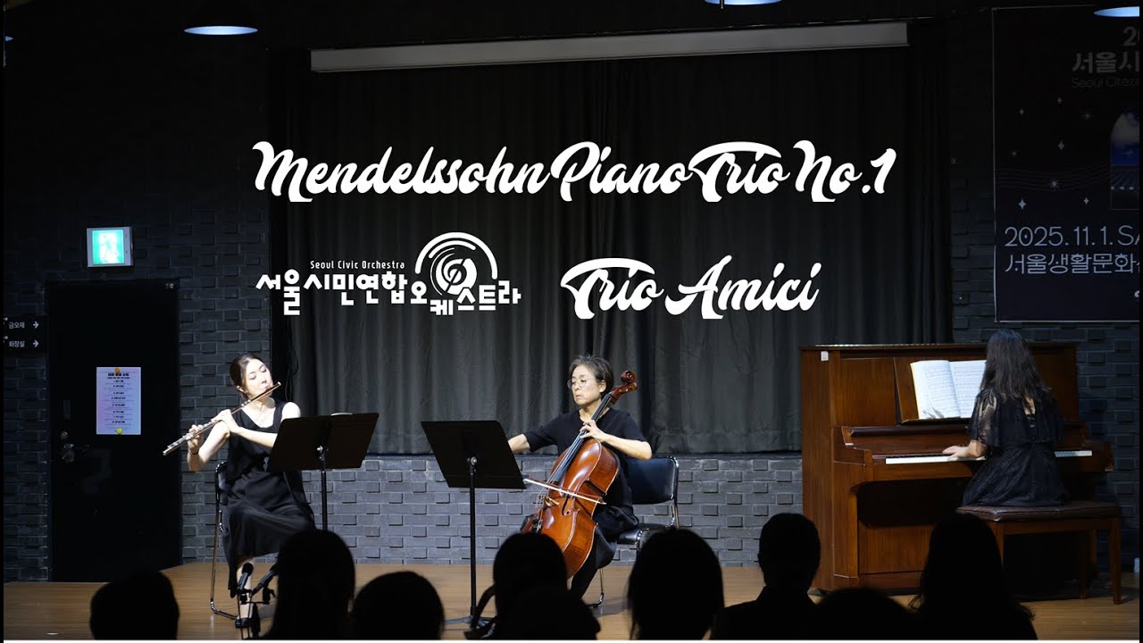 Piano Trio No.1 in D minor Op.49 - F. Mendelssohn / Trio Amici