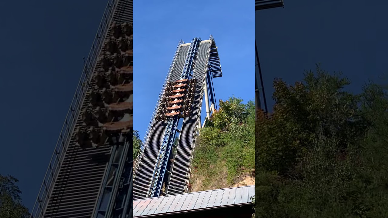 Dollywood wild eagle