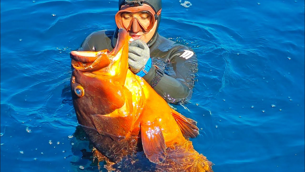Ricerca e Cattura ° 2-Fish Finder vs Reality: From Search to Capture, What’s Really on the Seabed