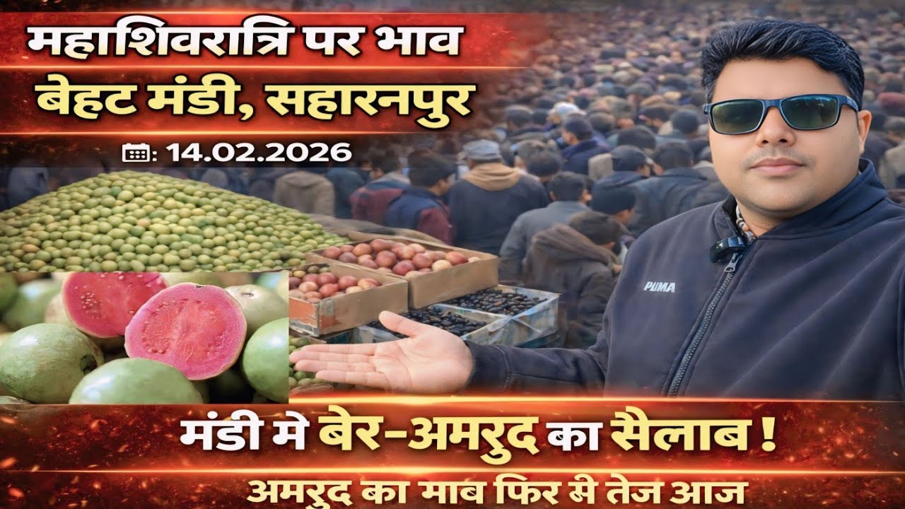 Vlogs👉सहारनपुर बेहट फ्रूट्स मंडी सेब अमरुद का आज ! Vagitables Fruits mandi Behat Saharanpur 