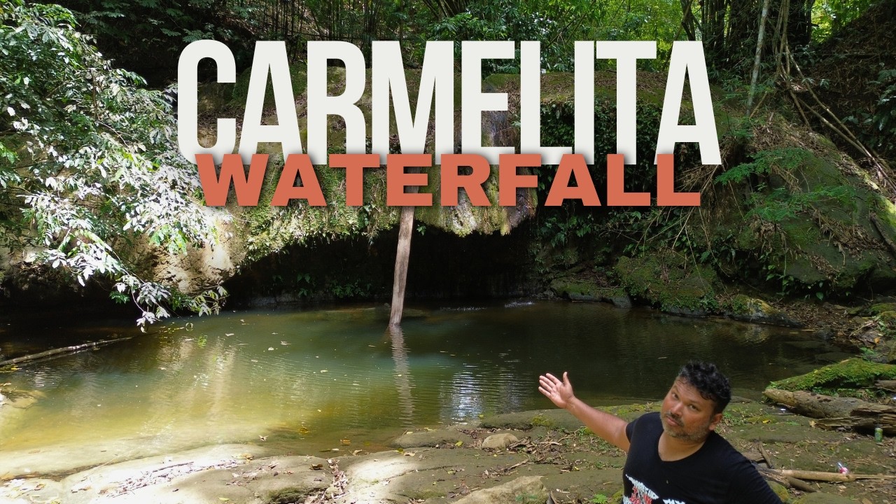 A Natural Pool and a Chicken Roti in Central Trinidad - Carmelita Waterfall