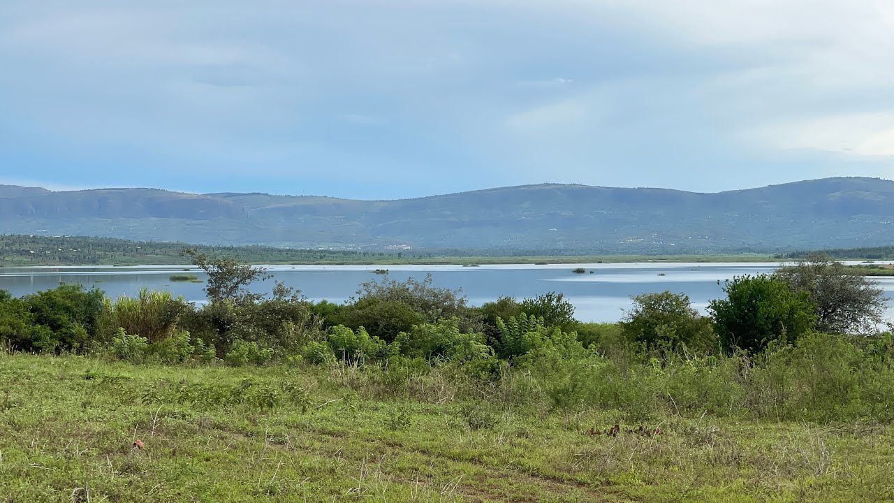 10 hectares of farmland / agricultural land for sale in Rwanda 🇷🇼 . Only 9k