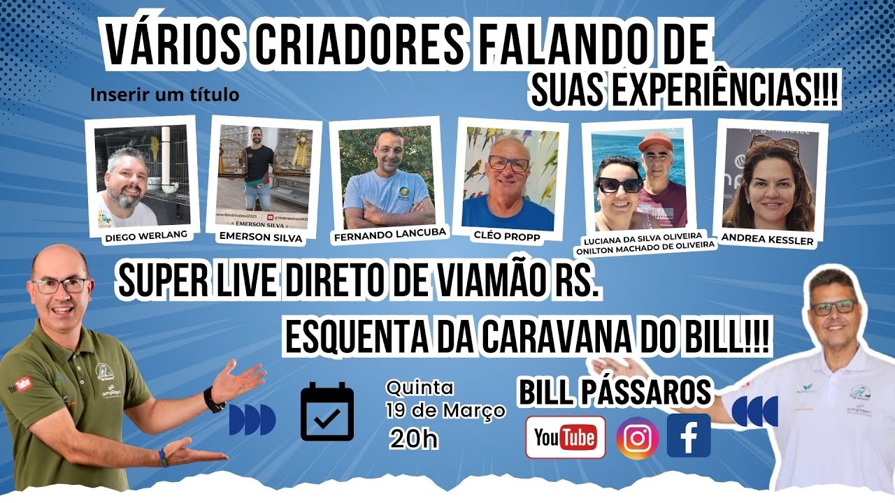 VÁRIOS CRIADORES FALANDO DE SUAS EXPERIÊNCIAS!!! 📱
