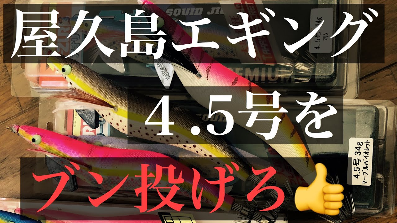 屋久島エギング　激流攻略👍