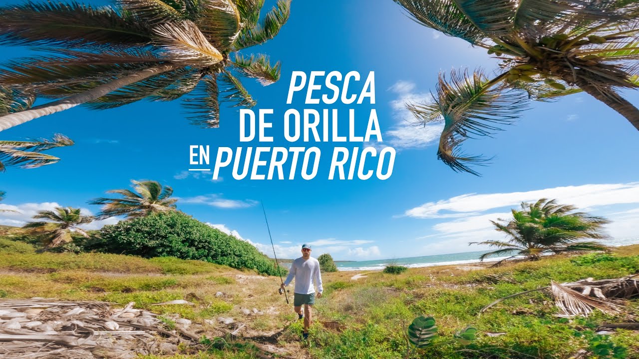PESCA con ACCIÓN Inesperada de ORILLA  