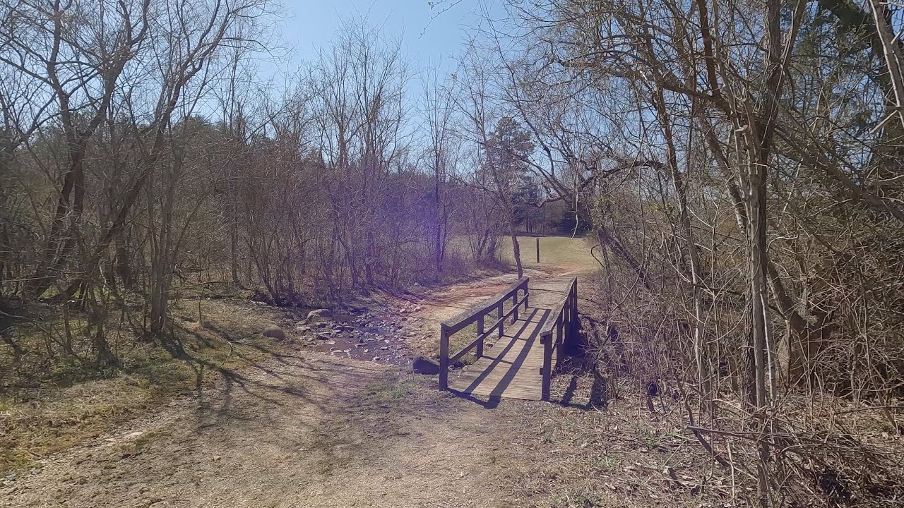 Marsh Mood ~ A Walk by the Wetlands at James River State Park