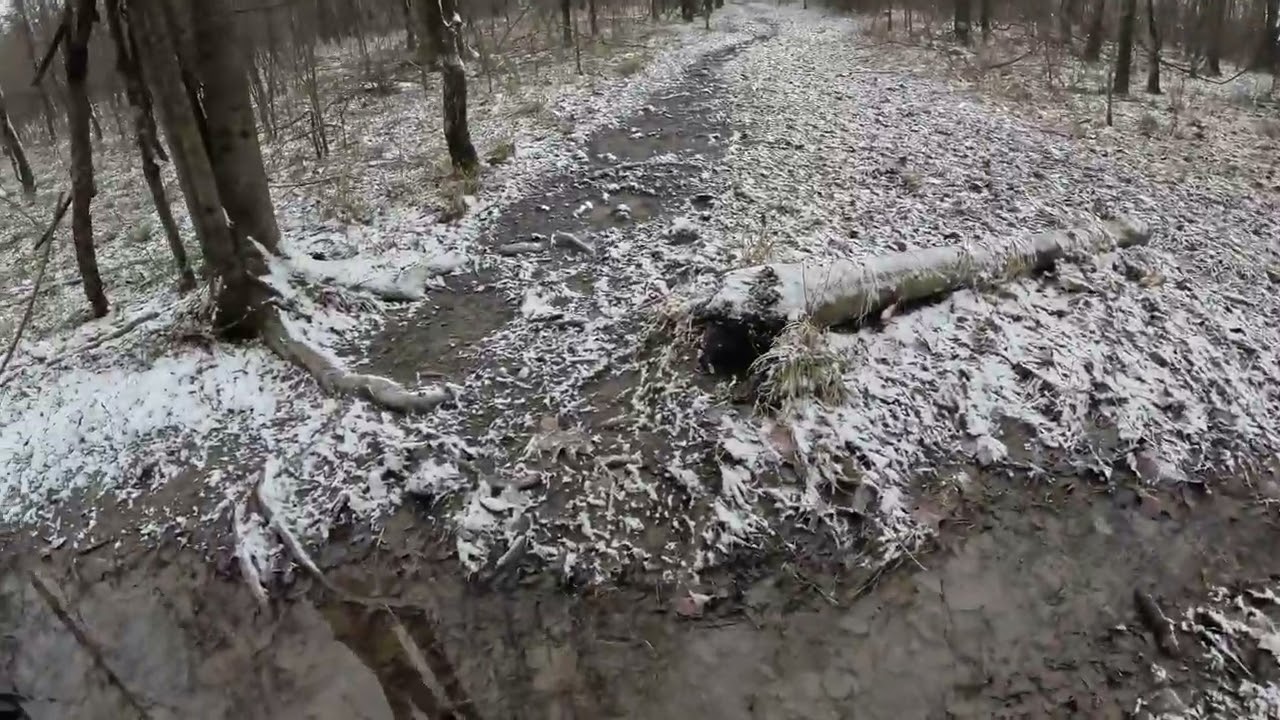 Fifty Springs Trail ( Winter)
