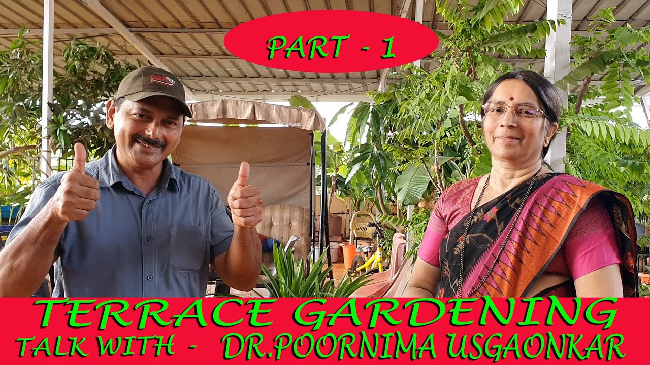 TERRACE GARDEN by Dr. Poornima Usgaonkar. Ponda Goa.