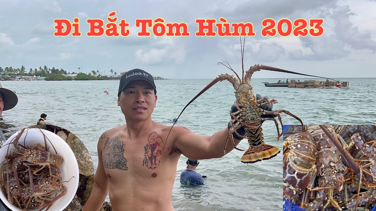 Đi Bắt TÔM HÙM Florida 2023 | Florida Lobster Mini-Season 2023 | LuuLinh TV