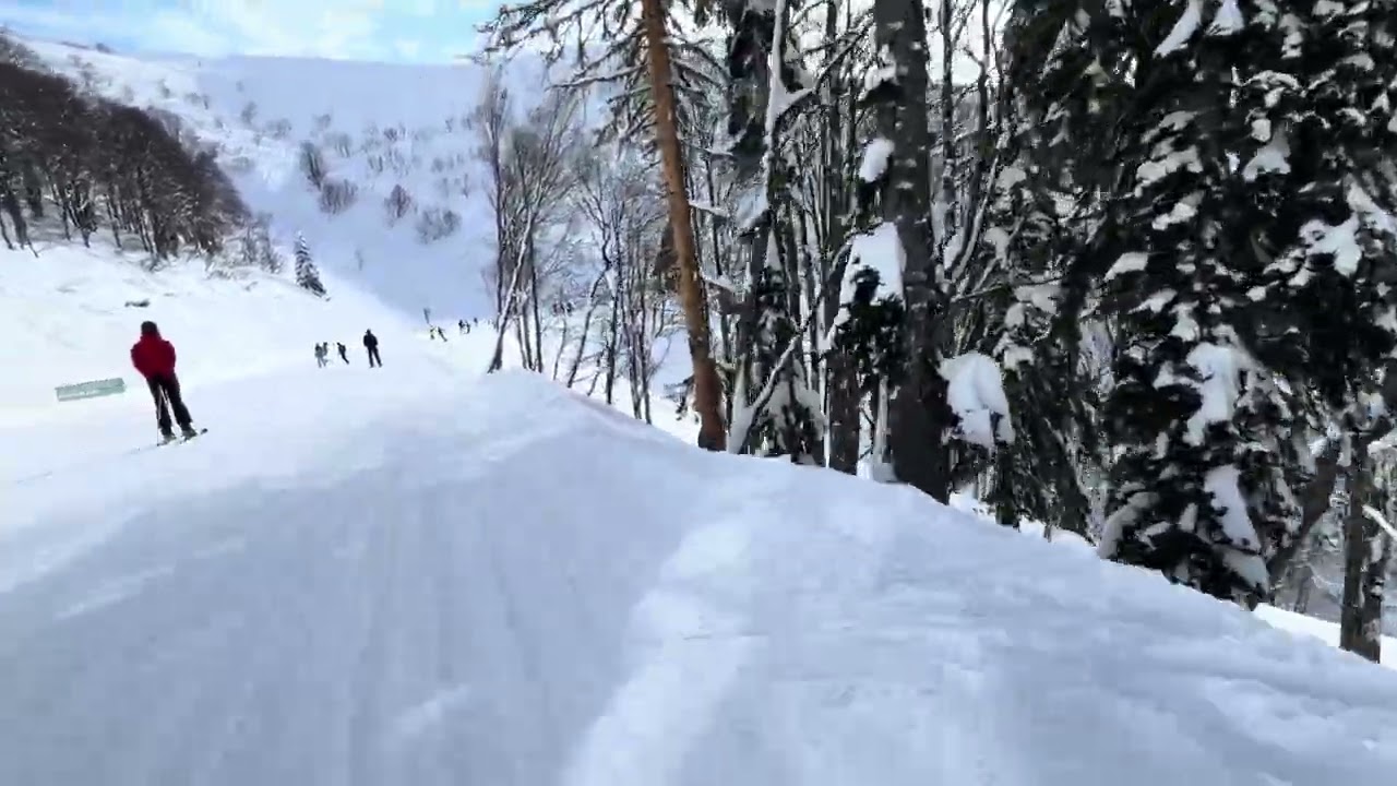 23 января 2026 г.