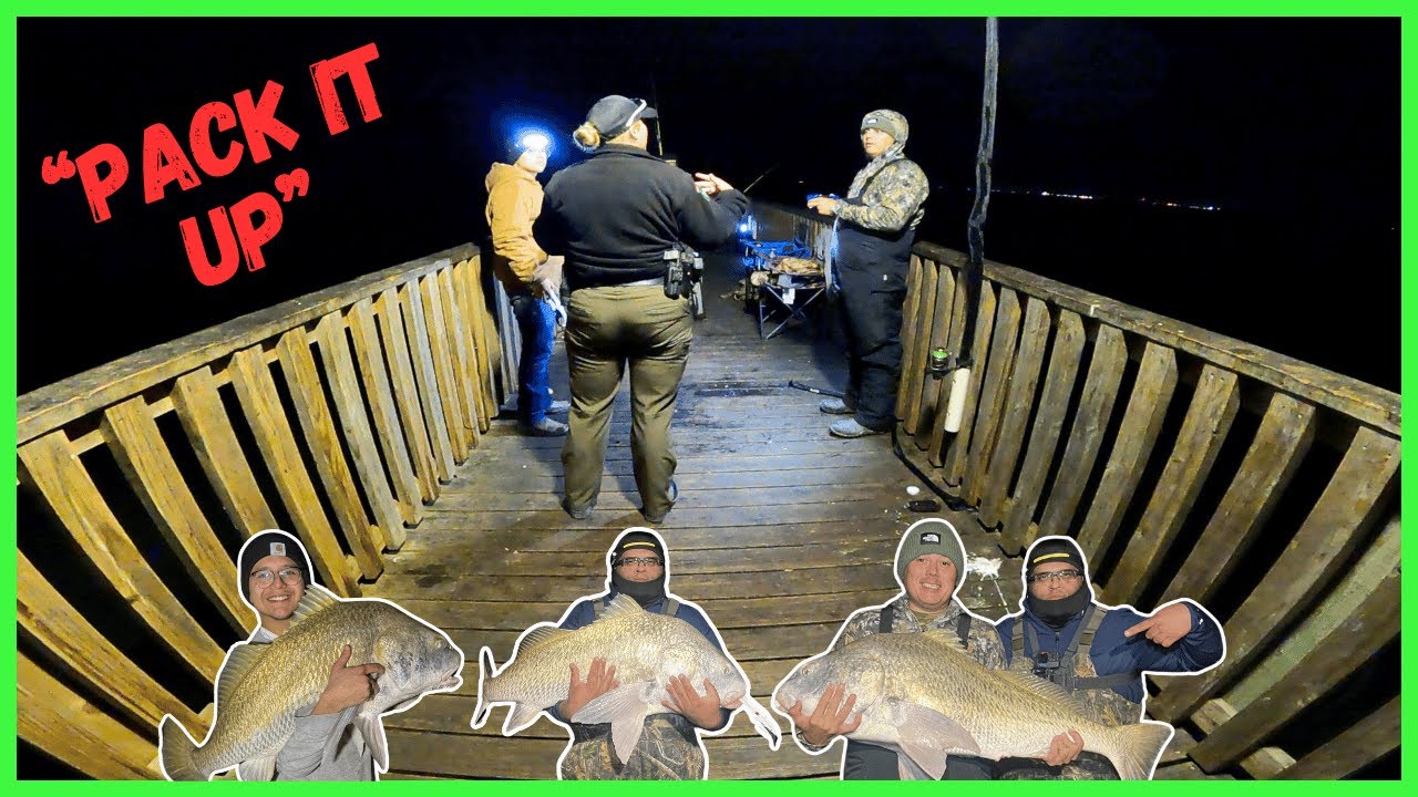 Kicked Off Goose Island Pier | 500 lbs Of Black Drum