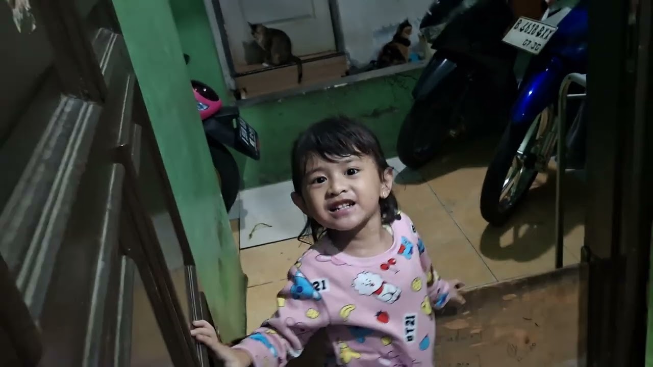 Ada ada aj