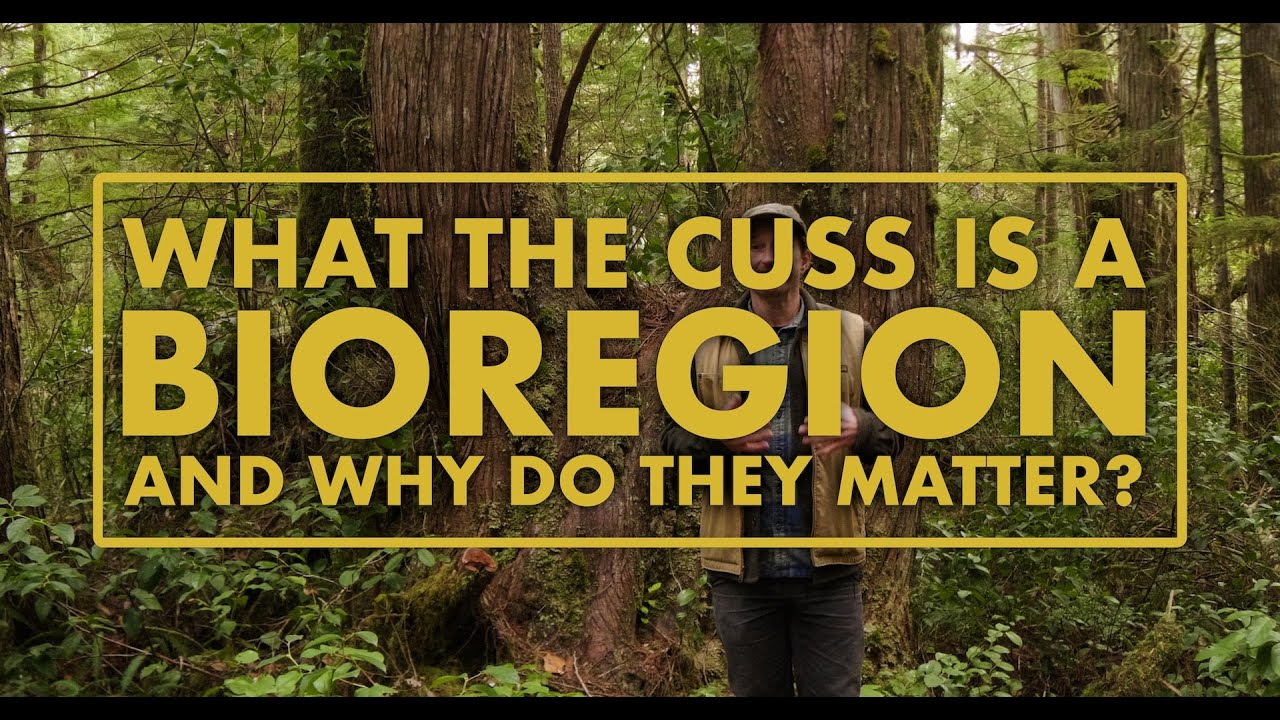 What is a Bioregion, and why do they matter?