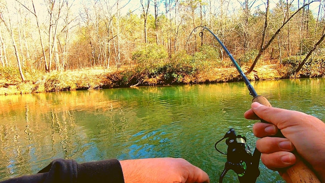 Creek Fishing Georgia Mountains for RAINBOW TROUT!!