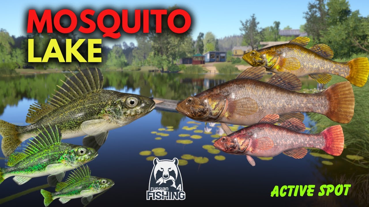 🐟 Best Spot for Chinese Sleeper and Ruffe | Mosquito Lake RF4 Gameplay