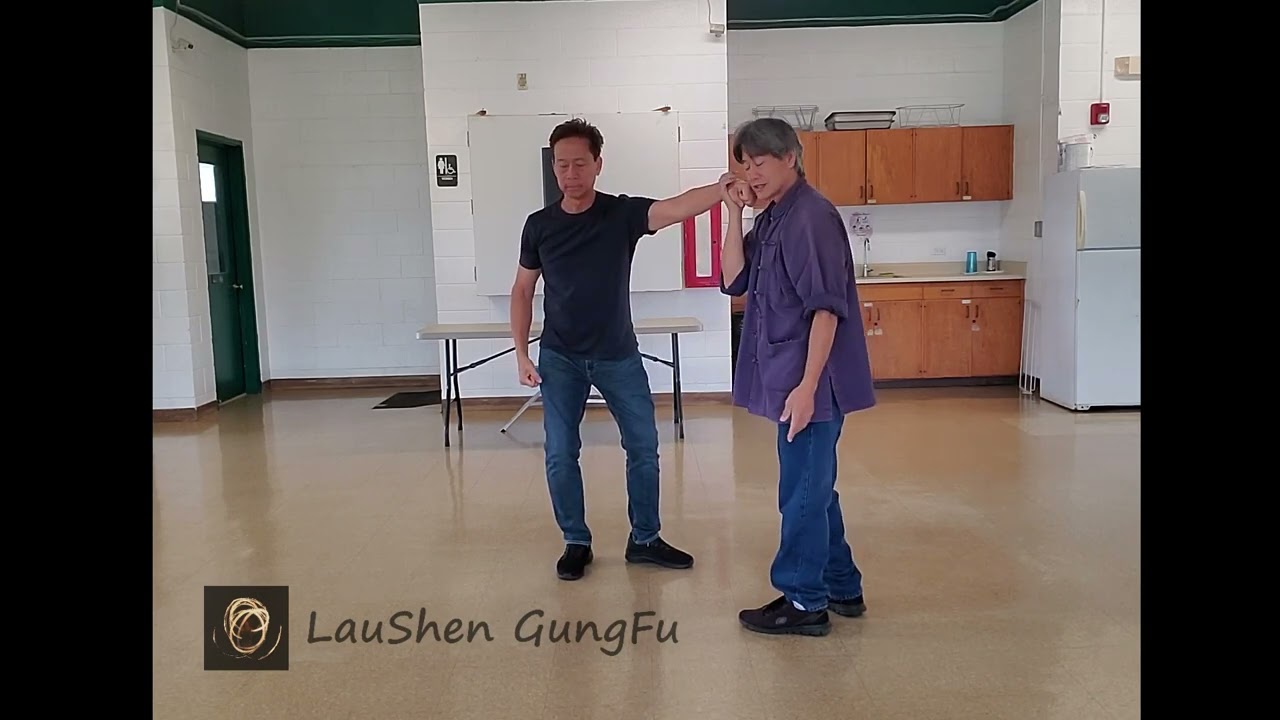 Sun Tai Chi: Parry/Parry from Tai Chi for Health for Arthritis and Fall Prevention (2-23-2023)