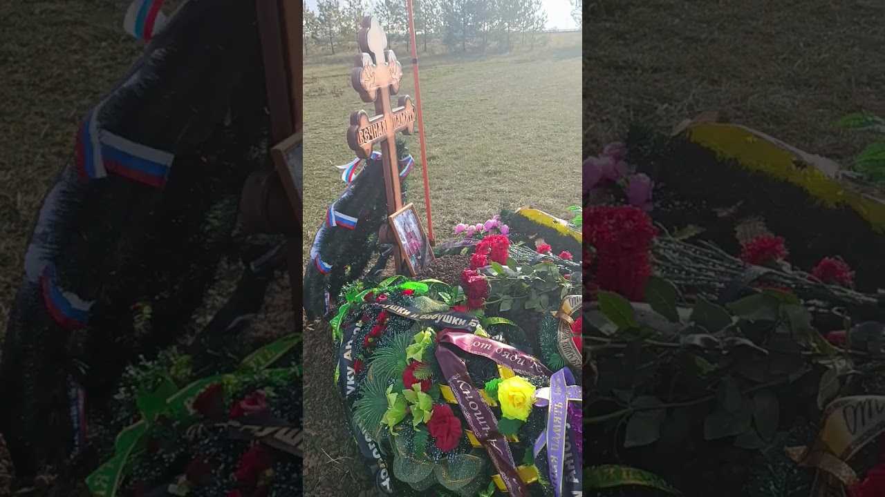 15 ноября 2025 г.