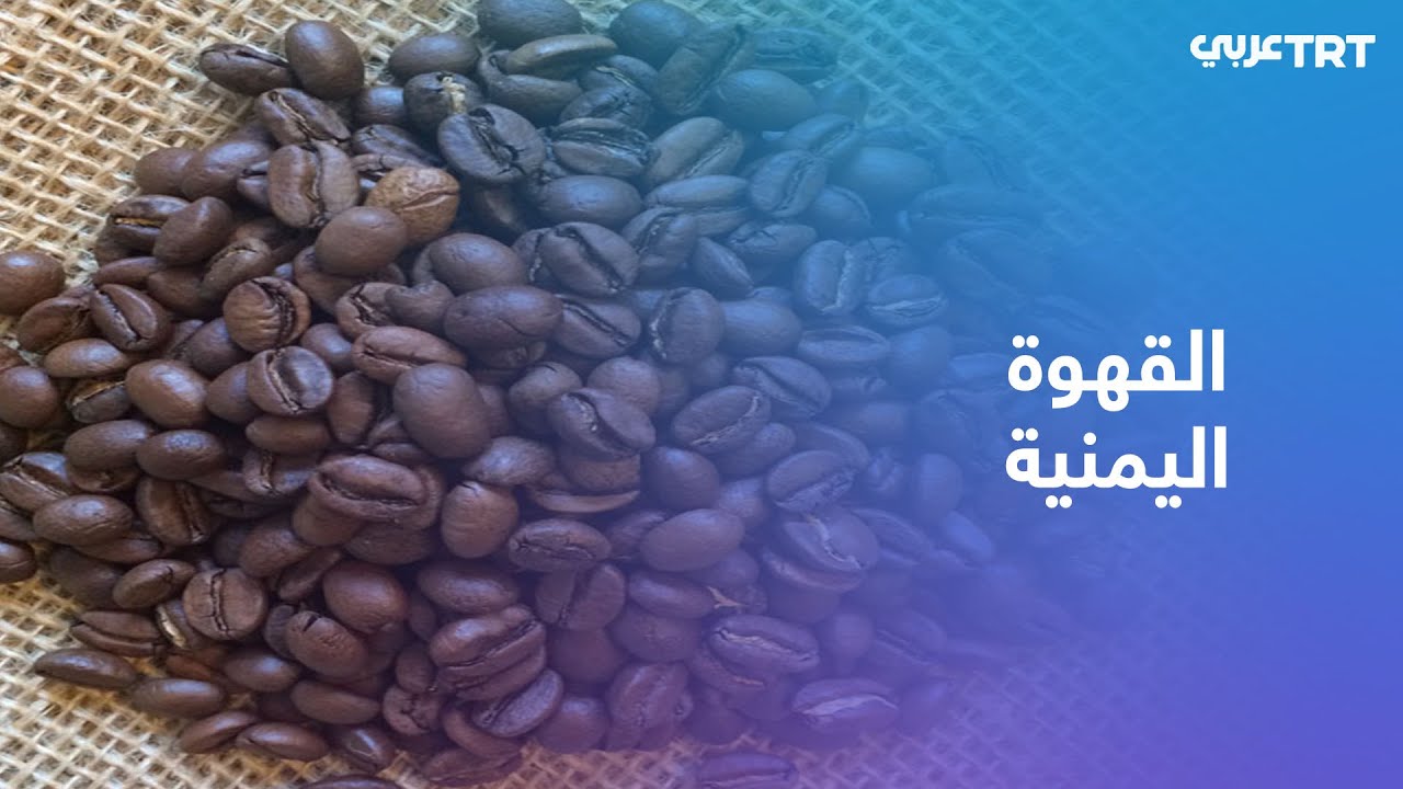 جبال اليمن مصدر أجود أنواع القهوة في العالم وأهم السلع القيمة عبر التاريخ