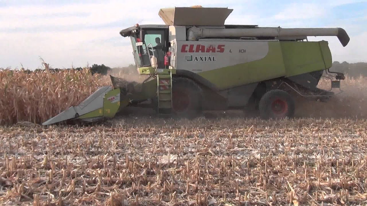 Corn Harvest | Claas Lexion 600 | Kukorica Aratás 2012.