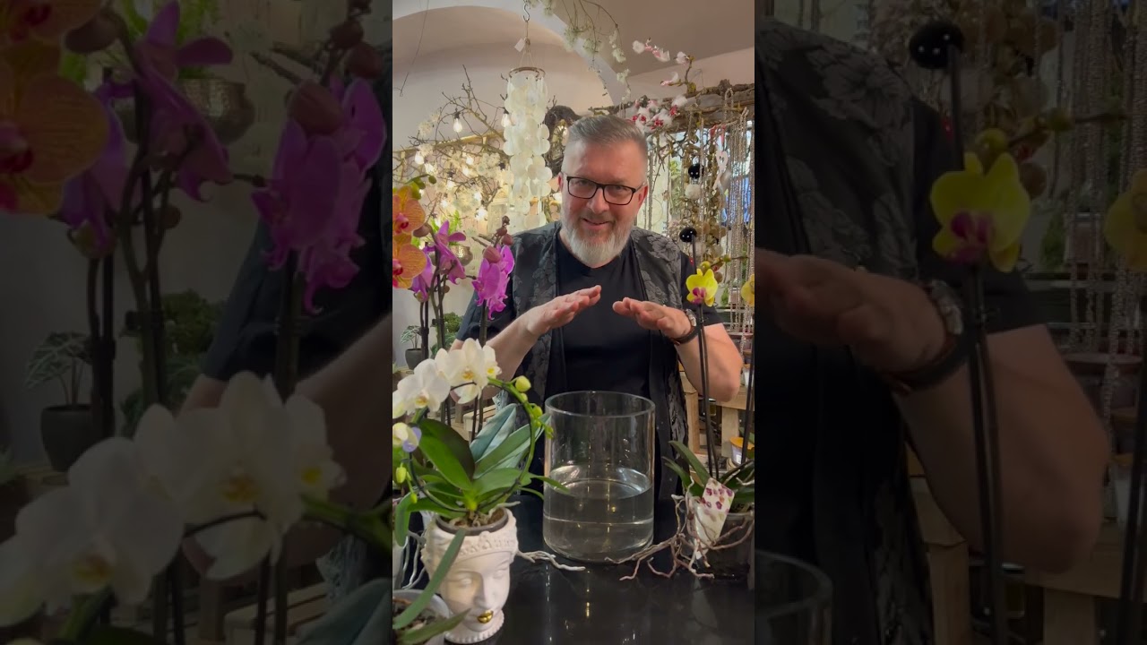BEZ KYTKY TO NEJDE orchideje II díl č. 6