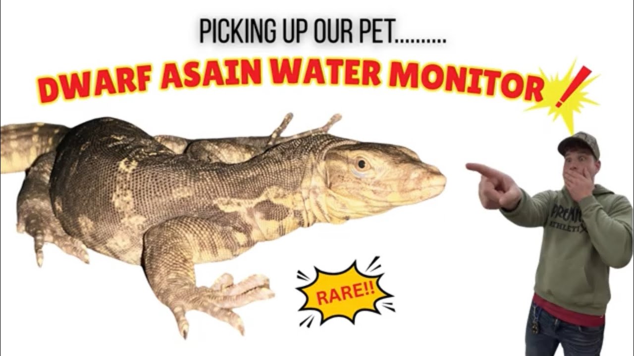 Our new pet monitor!!