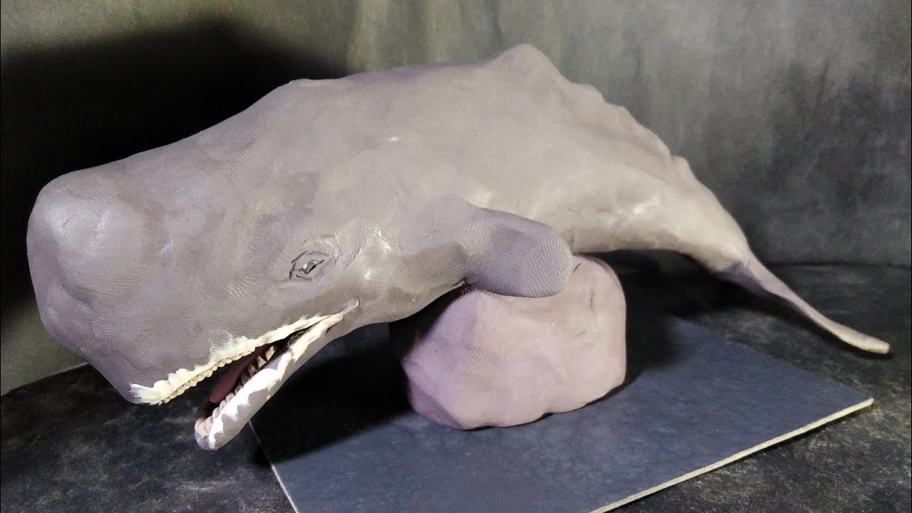 Cachalote (ballena)de plastilina/ How to make a Sperm Whale with clay sculpting 