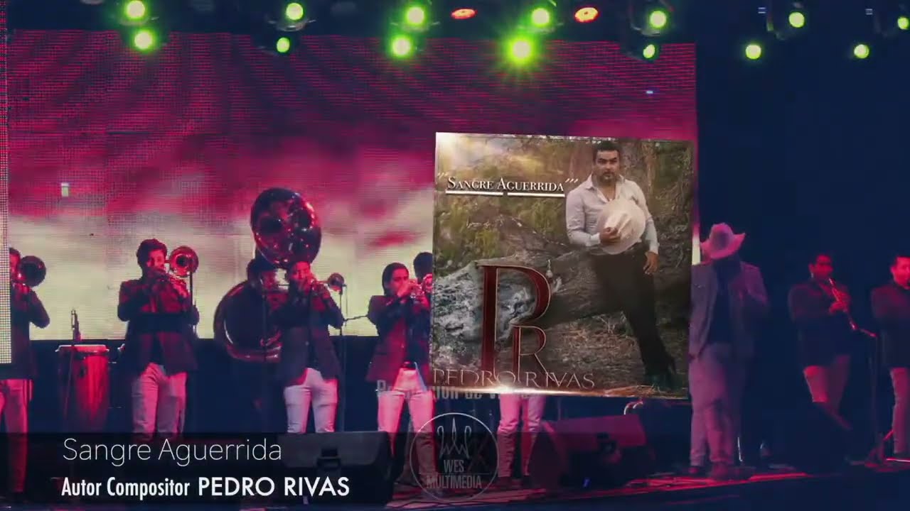 Sangre Aguerrida