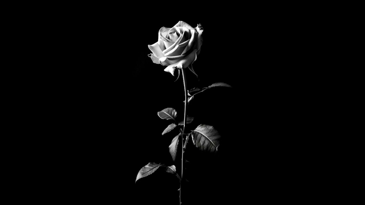 [FREE] 