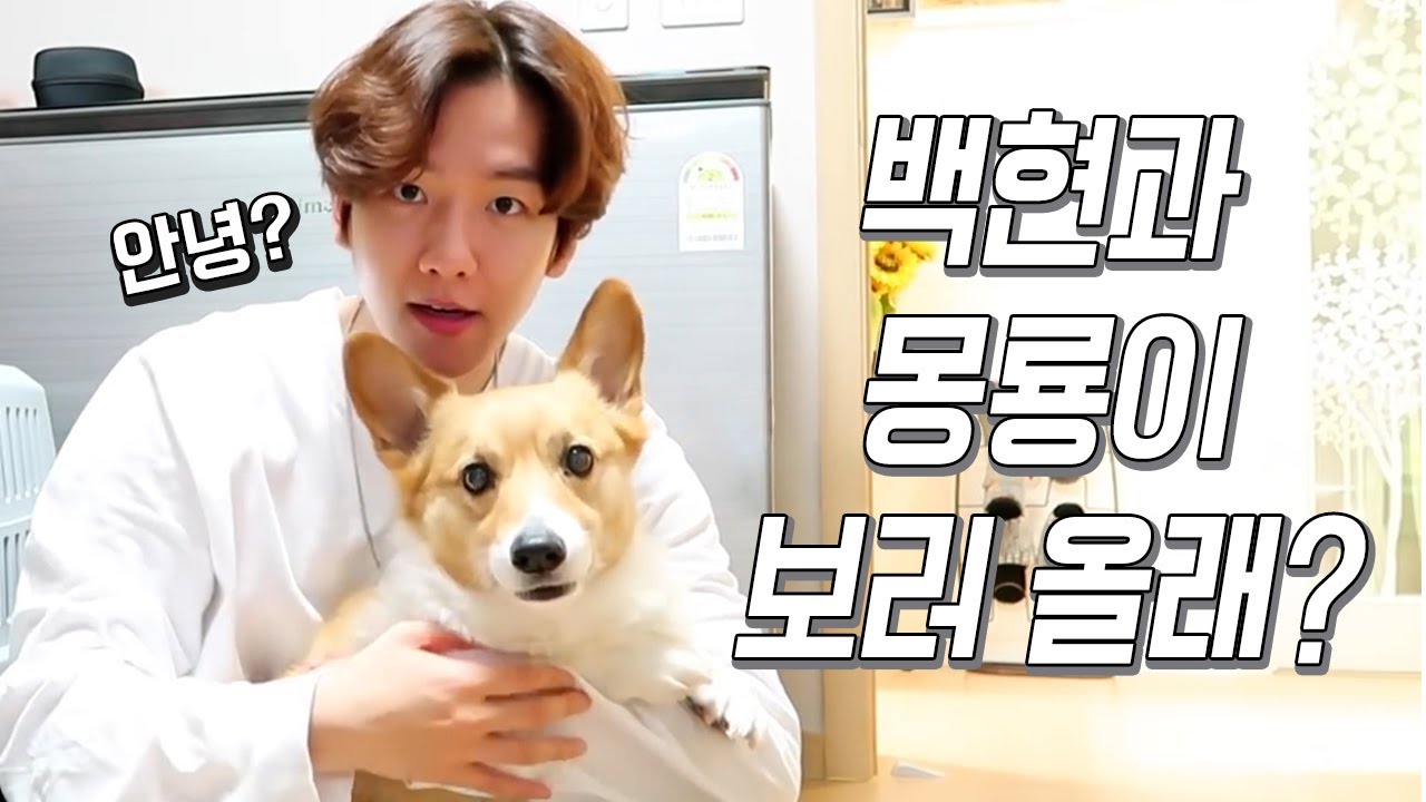 [EXO/백현] 강아지와 강아지... 백현과 몽룡이🐶