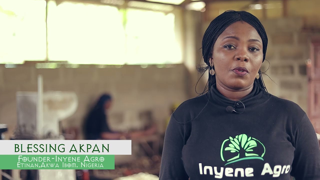 Inyene Agro Cassava Processing factory in rural community - AYUTE 2021
