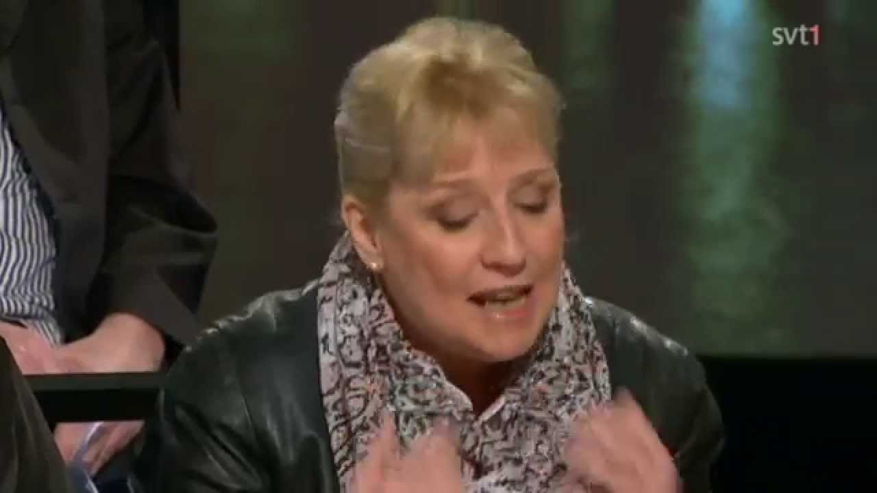 SVT Debatt - Hur stoppar vi nazisterna?