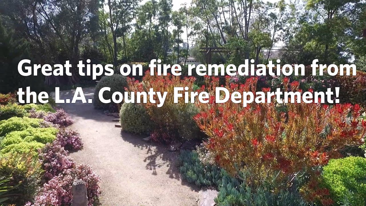 Fire Safety - Landscaping