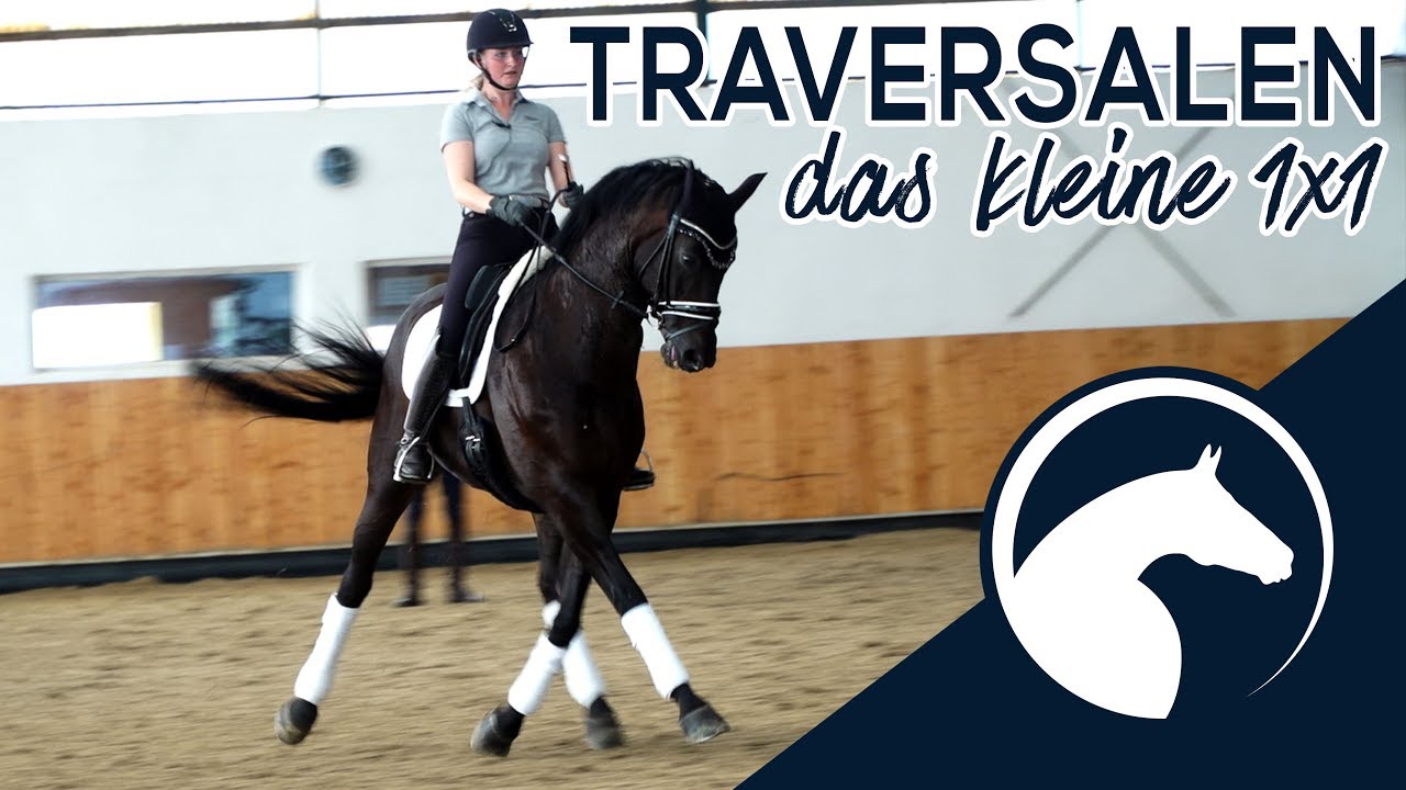 Reitest Du Deine Traversale richtig? 🐴| Preview🎥 | ClipMyHorse.TV Academy 🎓|