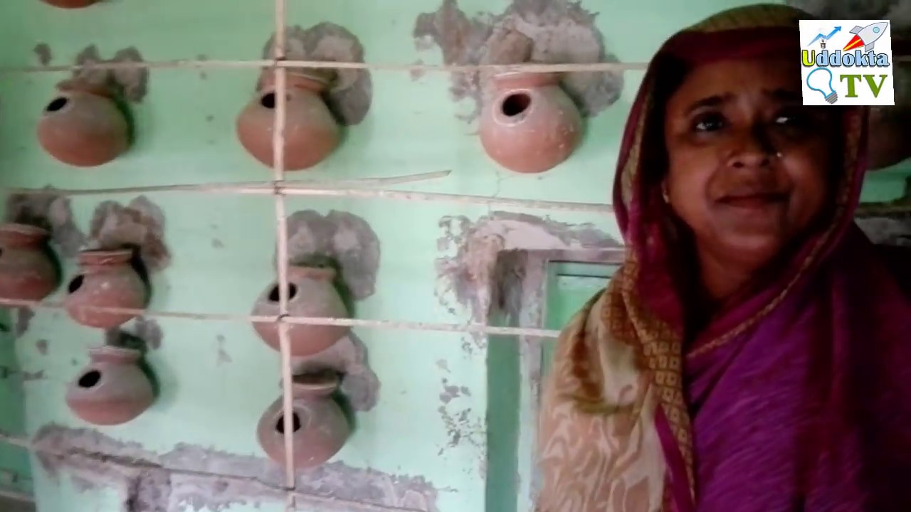 বাজরিগার পাখি পালনের সহজ পদ্ধতি | মহিলা হয়ে মাসে আয় ৪০-৫০ হাজার টাকা | Budgerigar Farming in BD