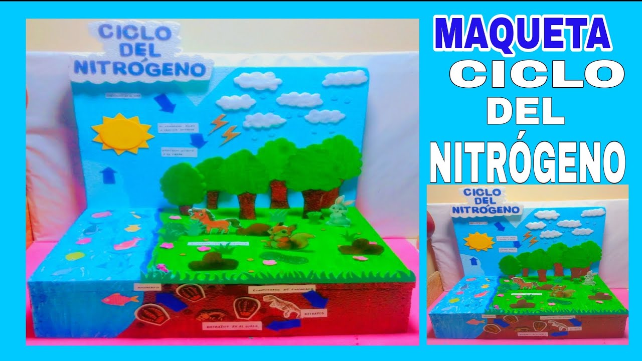 CÓMO HACER UNA MAQUETA DEL CICLO DEL NITRÓGENO