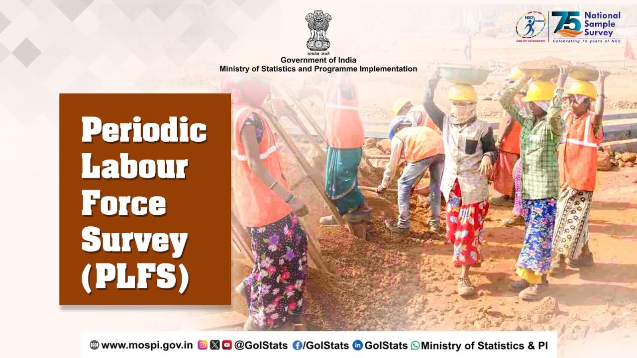 Periodic Labour Force Survey (PLFS)