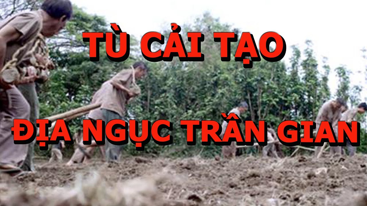 T&ugrave; Cải Tạo Hay Địa Ngục Trần Gian