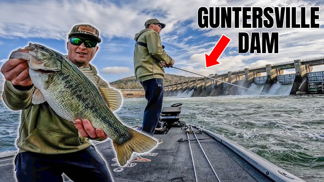 BIG FISH Live below this Dam!(Guntersville Lake Dam)